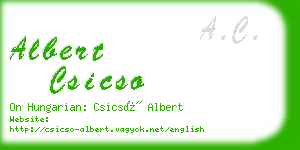 albert csicso business card